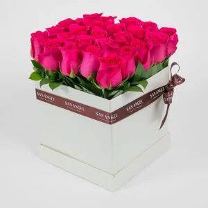 reino de sueños rosas medellin